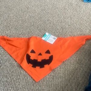 Pumpkin Dog Bandanna